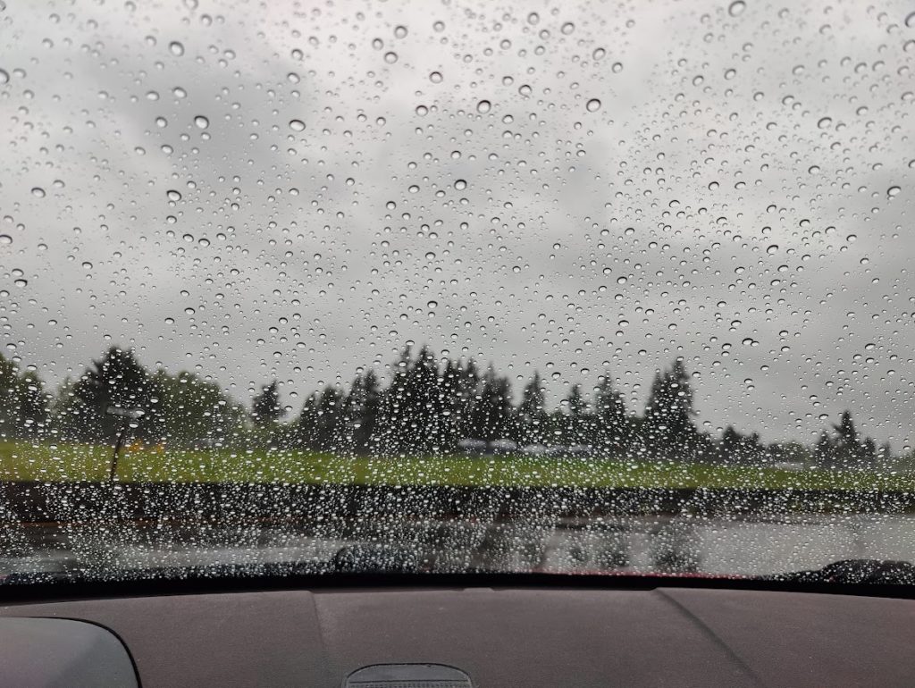 Trees and a strip of green grass under a grey sky, seen through a windshield covered with raindrops.
