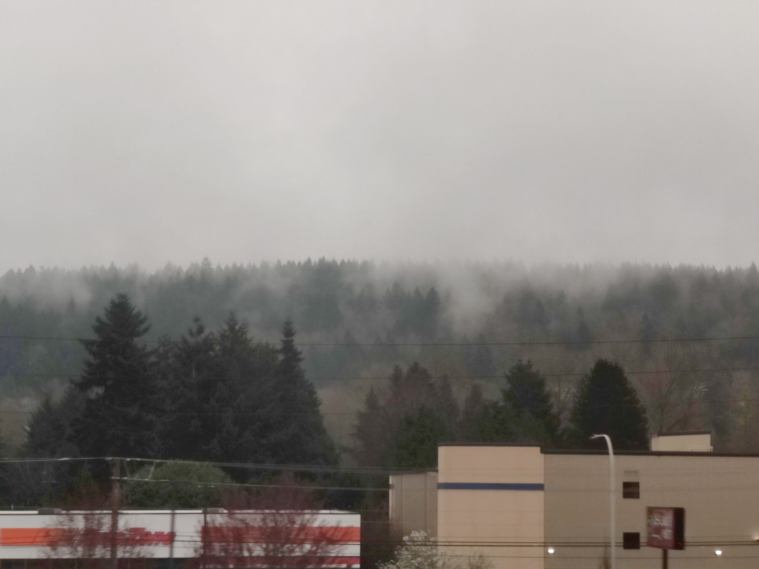 Grey clouds, with a line of mist-shrouded trees about half-way up the picture. There is a row of conifer trees in the middle distance. In the foreground are a white building with orange lettering on the left, with telephone wires above it, and some grey buildings on the right.