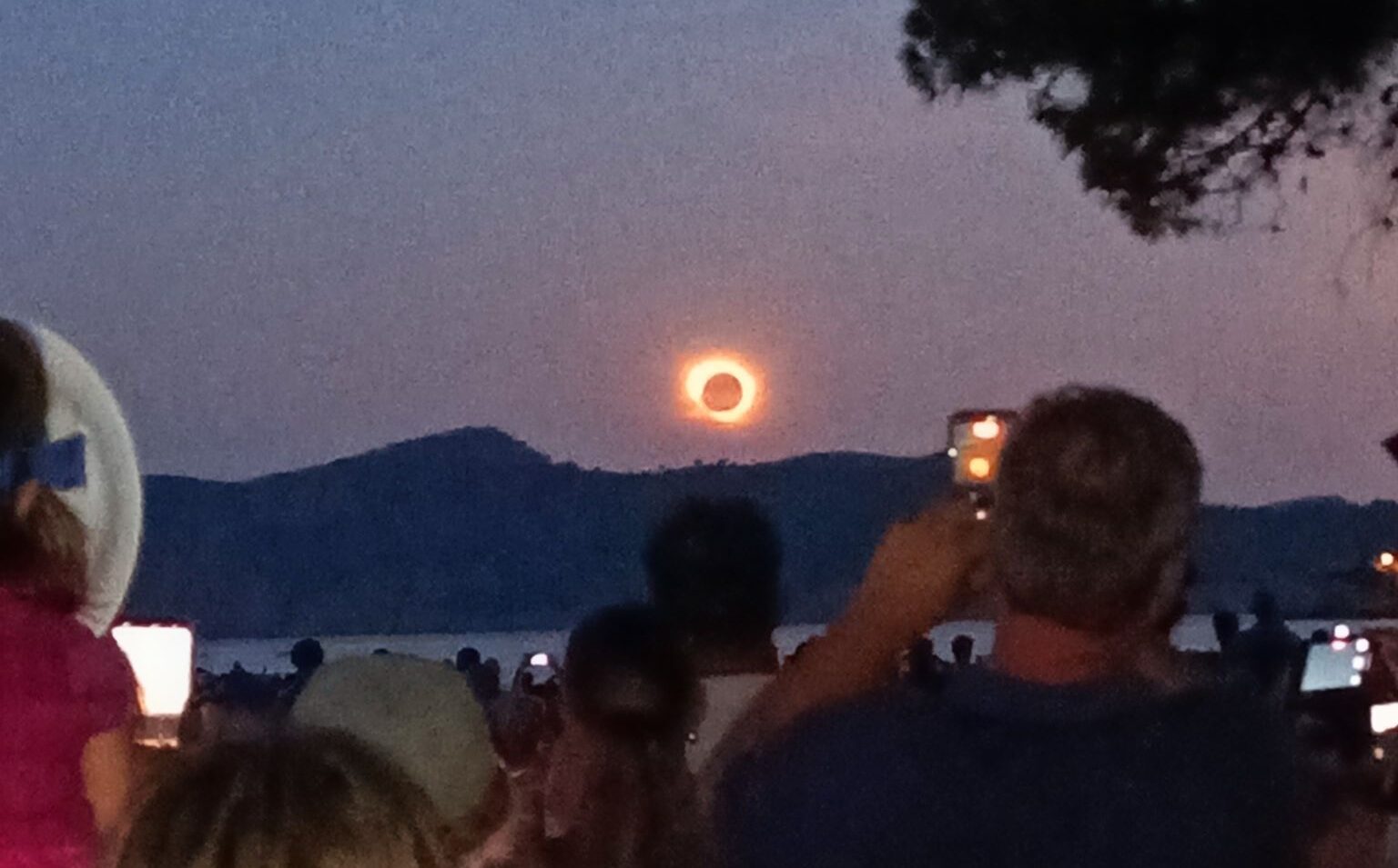 The corona, a ring of light, dead center in the picture. A tree's branches frame the picture in the upper right, while on the ground a crowd of people are standing. One of them has his phone camera out to record the spectacle.